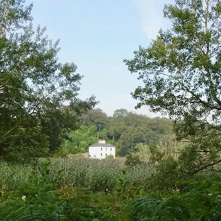 Bed & Breakfast Riverbank House 4*