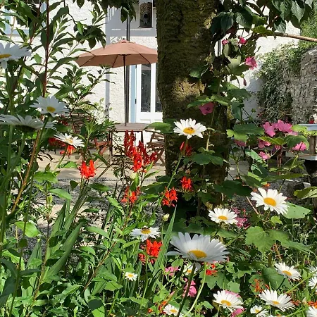 Bed & Breakfast Riverbank House